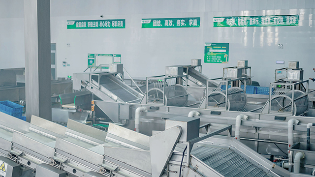 金豆子·生產工藝