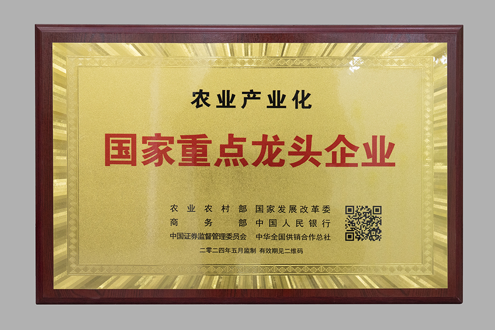 農(nóng)業(yè)產(chǎn)業(yè)化國家重點(diǎn)龍頭企業(yè)