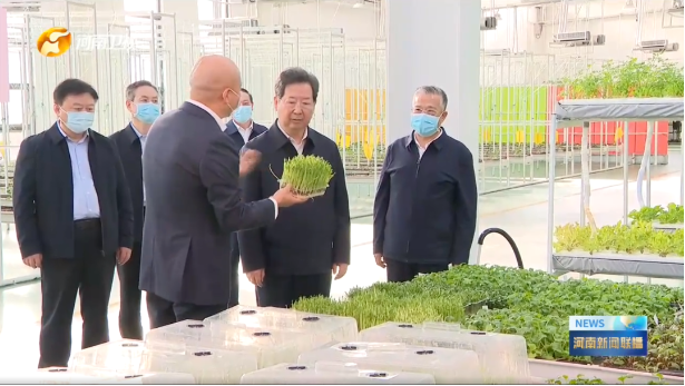 河南省委書記樓陽生蒞臨金豆子集團調(diào)研