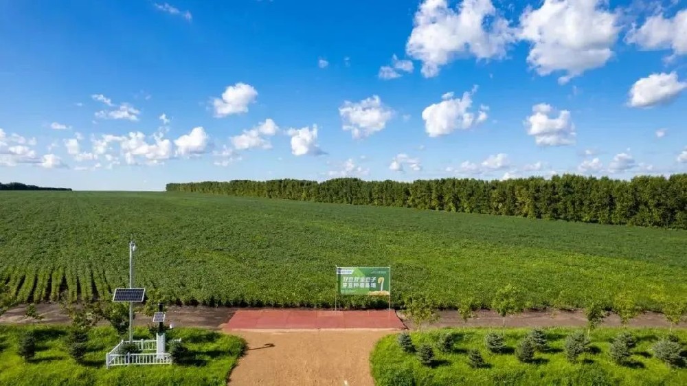 【河南日報農(nóng)村版報道】金豆子如何用14年把一顆小豆芽種成民生大事業(yè)